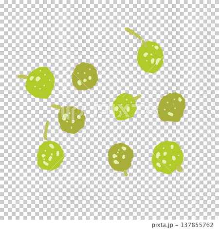 手繪插圖，描繪了散落的綠色山椒粒。 137855762