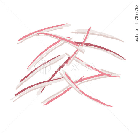 千切りにした茗荷（薬味）の手描きイラスト素材 137855768