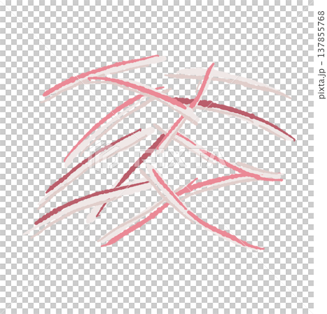 Hand-drawn illustration of shredded Japanese ginger (a condiment). Hand-drawn illustration of shredded Japanese ginger (a condiment). 137855768