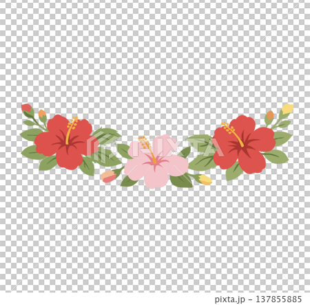 花 フラワー お花 137855885