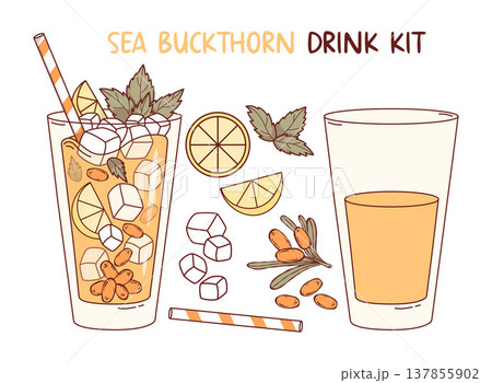 Sea Buckthorn Lemonade Set. Drink Ingredients with Glass, Orange Berries, Ice Cubes, Citrus Lemon, Cocktail Straw and Mint Leaves. Vector Illustration. Isolated Colored Beverage Menu Recipe Element . Sea Buckthorn Lemonade Set. Drink Ingredients with Glass, Orange Berries, Ice Cubes, Citrus Lemon, Cocktail Straw and Mint Leaves. Vector Illustration. Isolated Colored Beverage Menu Recipe Element . 137855902