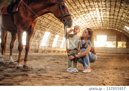 On the ground, standing and looking at animal. Mother and little son are with horse in hangar On the ground, standing and looking at animal. Mother and little son are with horse in hangar 137855957