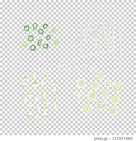 一組手繪的切碎的蔥和切絲的蔥的插圖。 一組手繪的切碎的蔥和切絲的蔥的插圖。 137855960