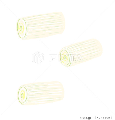 ぶつ切り（筒切り）にした長ねぎの手描きイラスト素材 137855961