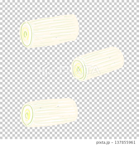 ぶつ切り（筒切り）にした長ねぎの手描きイラスト素材 137855961