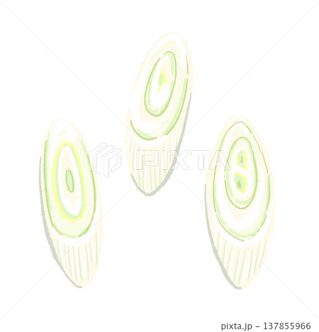 斜め切りにスライスした長ねぎの手描きイラスト素材 137855966