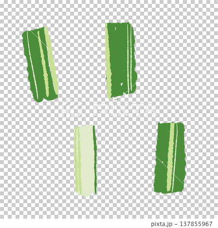 ぶつ切りにカットした青ねぎの手描きイラスト素材 137855967