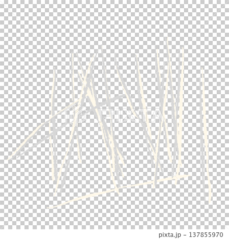 千切りにした白髪ねぎ(薬味)の手描きイラスト素材 千切りにした白髪ねぎ(薬味)の手描きイラスト素材 137855970