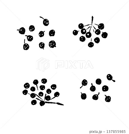 房になった山椒の実のセットシルエット 137855985