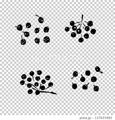 房になった山椒の実のセットシルエット 137855985
