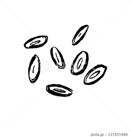 小口切り（輪切り）にした茗荷のシルエット 137855996