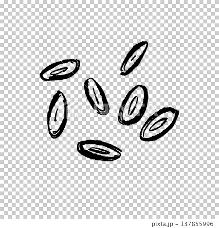 小口切り（輪切り）にした茗荷のシルエット 137855996