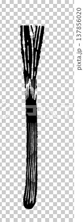 長ネギ・白ねぎ（別角度）のモノクロイラスト 137856020