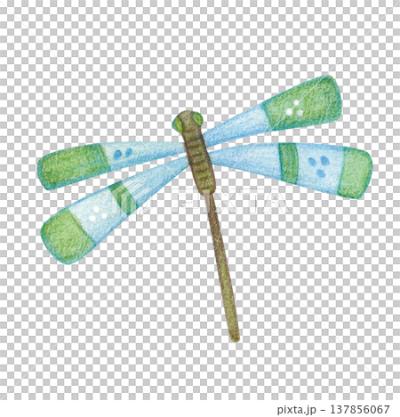 A dragonfly with blue and green wings. Hand-drawn watercolor illustration, cartoon. Design for stickers, cards, and posters. Insect, animal, nature, fly A dragonfly with blue and green wings. Hand-drawn watercolor illustration, cartoon. Design for stickers, cards, and posters. Insect, animal, nature, fly 137856067