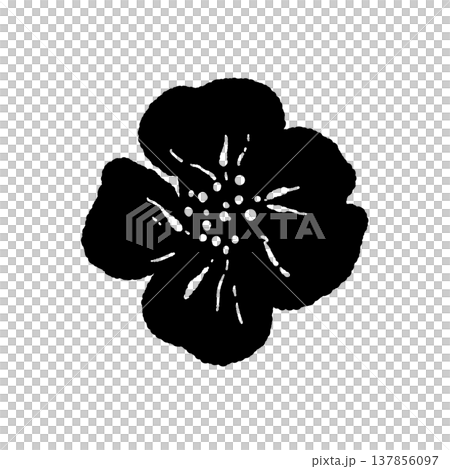 ナスタチウムの花（単体）のモノクロイラスト 137856097