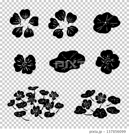Nasturtium Variation Set (Monochrome) Nasturtium Variation Set (Monochrome) 137856099