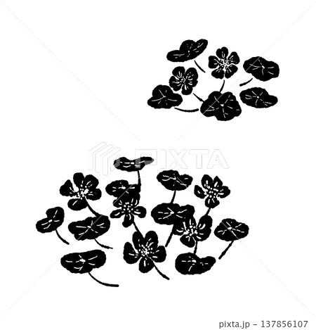 複数のナスタチウムの群生セット（モノクロイラスト） 137856107