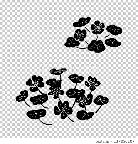 複数のナスタチウムの群生セット（モノクロイラスト） 137856107