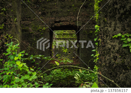 Yashwantgad Fort in Redi, Maharashtra, near the Maharashtra-Goa border. Green roots of trees grows on the old walls Yashwantgad Fort in Redi, Maharashtra, near the Maharashtra-Goa border. Green roots of trees grows on the old walls 137856157