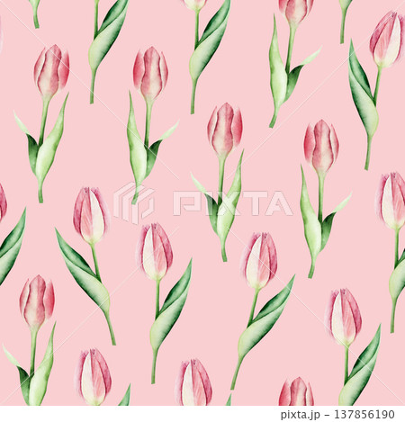Spring pink tulip flowers seamless pattern. Watercolor easter hand drawn illustration isolated on background, transparent png. Botanical and wedding clip art. For greeting card, wallpaper, wrapping Spring pink tulip flowers seamless pattern. Watercolor easter hand drawn illustration isolated on background, transparent png. Botanical and wedding clip art. For greeting card, wallpaper, wrapping 137856190
