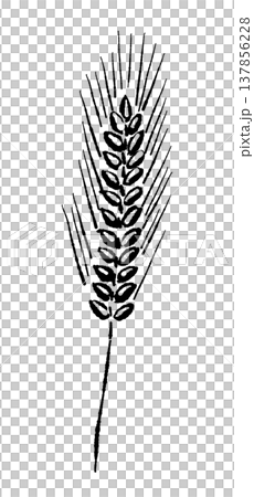 麦の穂（まっすぐ）のモノクロイラスト 137856228