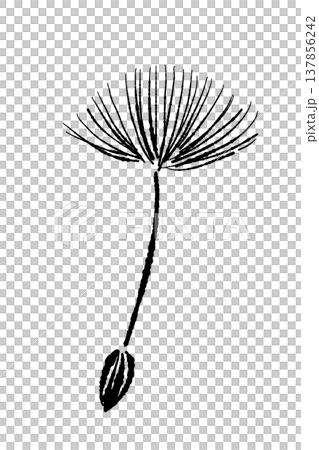A monochrome illustration of dandelion fluff flying away. A monochrome illustration of dandelion fluff flying away. 137856242
