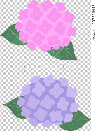 Simple hydrangea illustration (vector) - Flower material for the rainy season and early summer Simple hydrangea illustration (vector) - Flower material for the rainy season and early summer 137856447