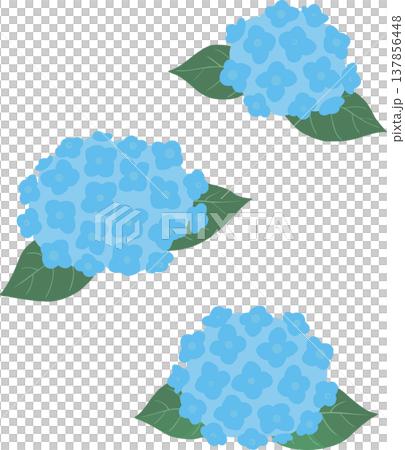 Simple hydrangea illustration (vector) - Flower material for the rainy season and early summer Simple hydrangea illustration (vector) - Flower material for the rainy season and early summer 137856448