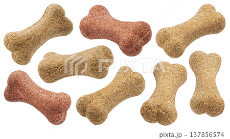 Dry pet food, dog treats bone shape isolated on white background with clipping path, full depth of field 137856574