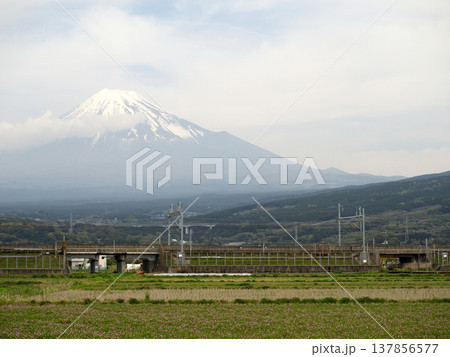 田園から富士山を眺める 田園から富士山を眺める 137856577