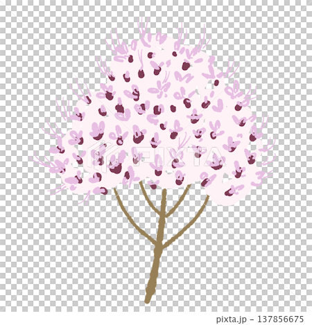 ピンク色の細かい花を咲かせたオレガノの手描きイラスト素材 ピンク色の細かい花を咲かせたオレガノの手描きイラスト素材 137856675