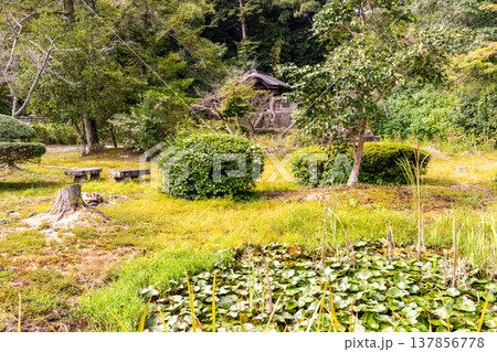 松江藩主松平家菩提寺・月照寺の秋の風景5　島根県松江市 137856778