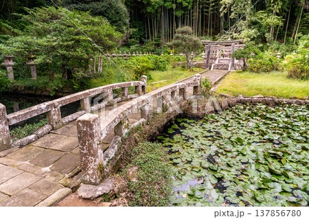 松江藩主松平家菩提寺・月照寺の秋の風景3 島根県松江市 松江藩主松平家菩提寺・月照寺の秋の風景3 島根県松江市 137856780