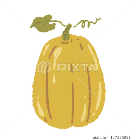ツル付きの縦長なかぼちゃ（顔なし・単体）の手描きイラスト素材 137856851