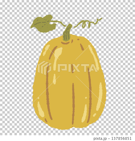 ツル付きの縦長なかぼちゃ（顔なし・単体）の手描きイラスト素材 137856851