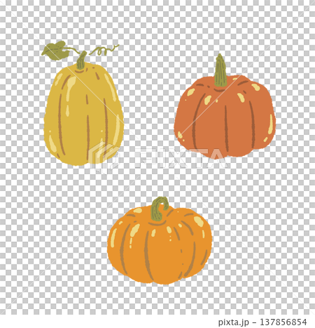 A group of hand-drawn illustrations of three pumpkins (without faces, vegetables). 137856854