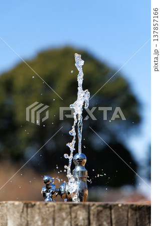 公園の水飲み場 公園の水飲み場 137857166