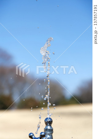 公園の水飲み場 137857191