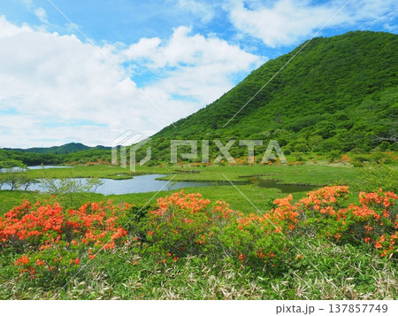 赤城駒ヶ岳と覚満淵のレンゲツツジ 赤城駒ヶ岳と覚満淵のレンゲツツジ 137857749
