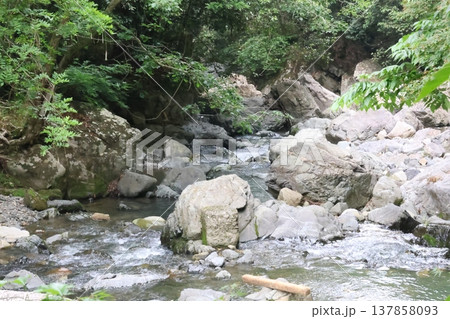 岩のある川 岩のある川 137858093