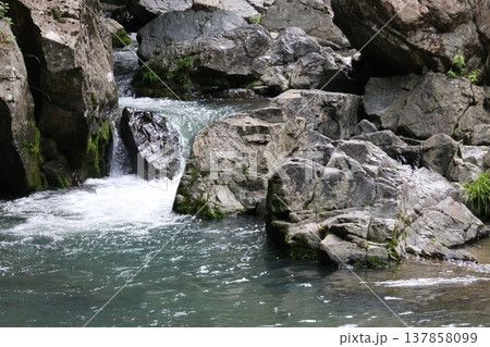 岩のある川 岩のある川 137858099