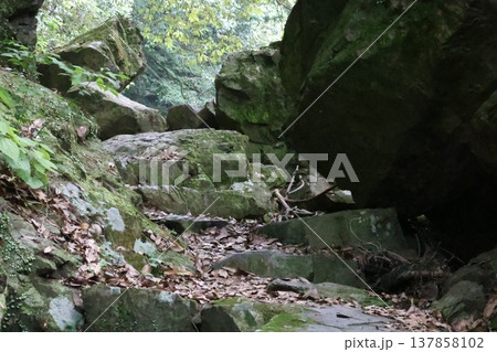 山の中にある岩 137858102