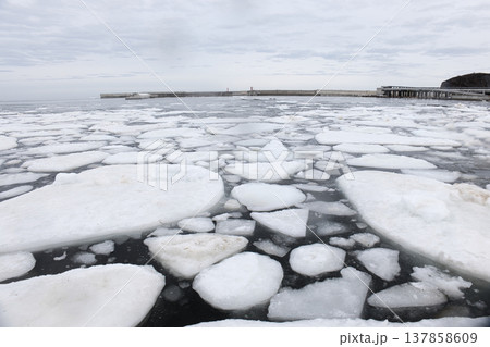 北海道, 知床のオホーツク海の流氷 137858609