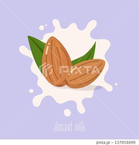 Almond milk. Almond nuts on a milk splash. Vector illustration. Almond milk. Almond nuts on a milk splash. Vector illustration. 137858890