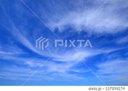 爽やかな青空と雲 爽やかな青空と雲 137859274