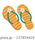 Beach flip flops illustration, colorful summer footwear design 137859429