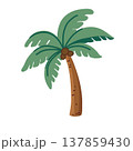 Palm tree illustration, tropical summer plant in colorful style 137859430