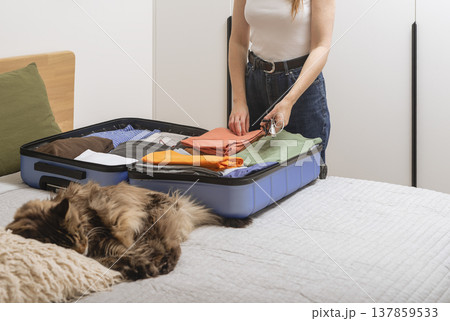 Cute cat sleeps on the bed beside an open suitcase during weekend packing. Cropped female hands 137859533
