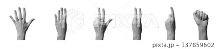 Female hand shows counting gesture from one to five with raised fingers. Closeup of left hand Female hand shows counting gesture from one to five with raised fingers. Closeup of left hand 137859602
