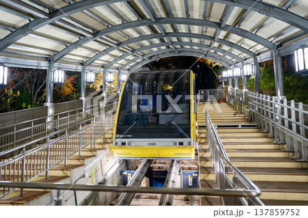 出水市「特攻神社」の風景 137859752